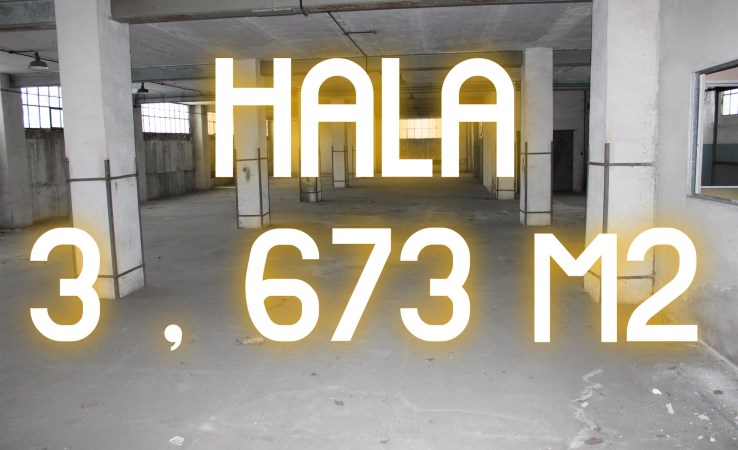 hala na sprzedaż - Chojnów